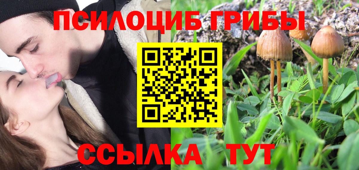 Псилоцибиновые грибы ЛСД  Вход с VPN  Донской  Псилоцибиновые грибы ЛСД 